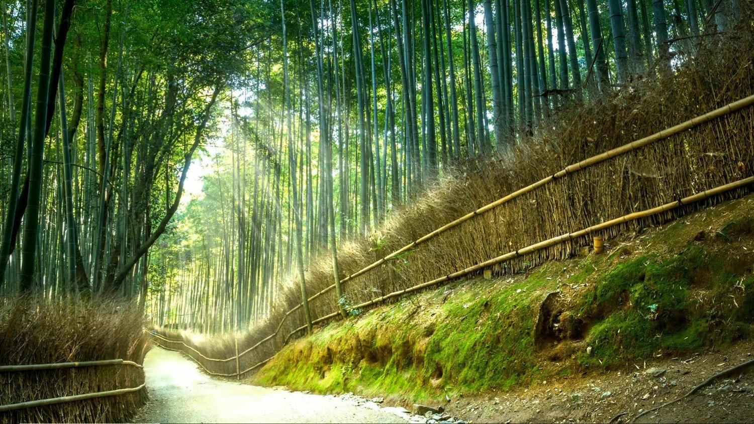 永遠不要向別人解釋你自己 - 第1張圖 永遠不要向別人解釋你自己