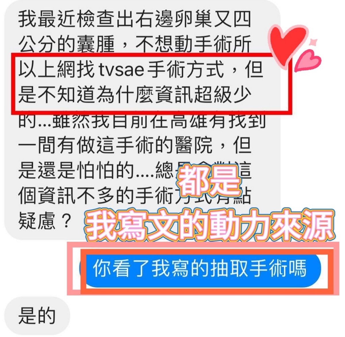 意外成為部落客/登革熱事件爆發引起身體不適/抵抗、免疫力下降(一) - 第3張圖 意外成為部落客/登革熱事件爆發引起身體不適/抵抗、免疫力下降(一)