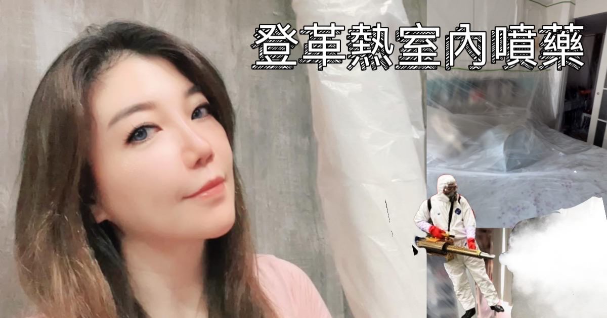 意外成為部落客/登革熱事件爆發引起身體不適/抵抗、免疫力下降(一) - 第19張圖 意外成為部落客/登革熱事件爆發引起身體不適/抵抗、免疫力下降(一)