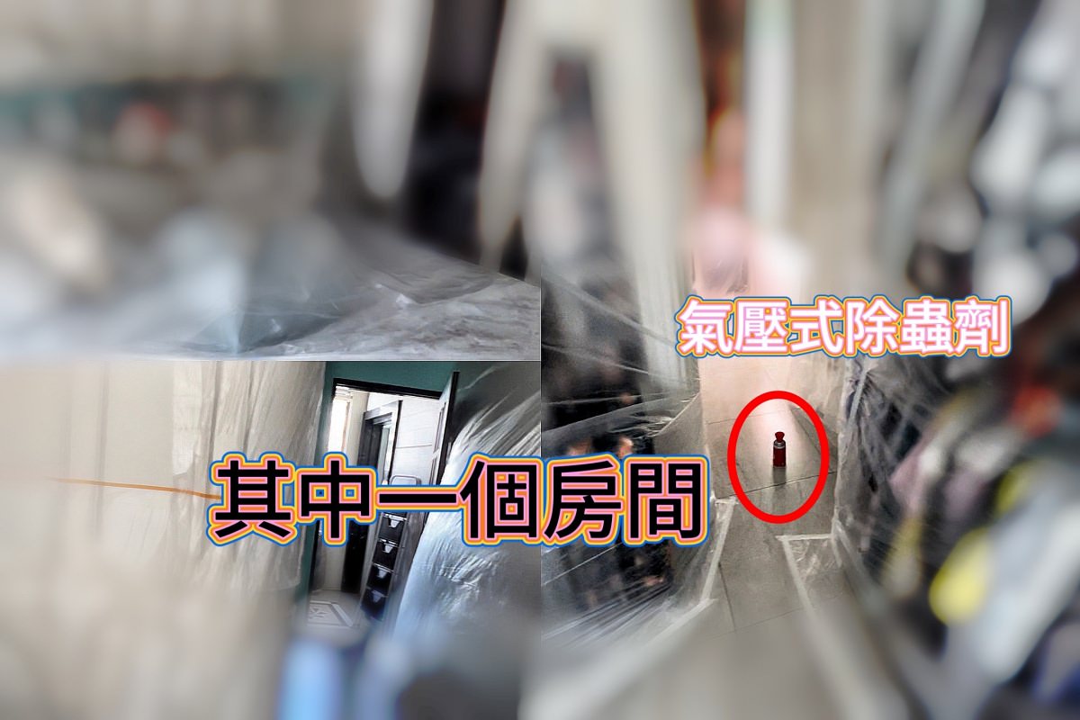 意外成為部落客/登革熱事件爆發引起身體不適/抵抗、免疫力下降(一) - 第14張圖 意外成為部落客/登革熱事件爆發引起身體不適/抵抗、免疫力下降(一)