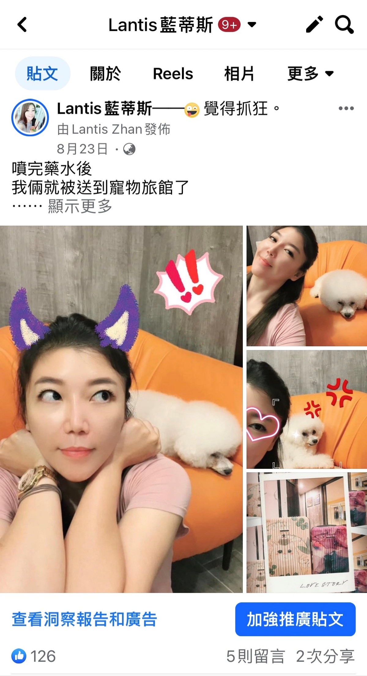 意外成為部落客/登革熱事件爆發引起身體不適/抵抗、免疫力下降(一) - 第16張圖 意外成為部落客/登革熱事件爆發引起身體不適/抵抗、免疫力下降(一)