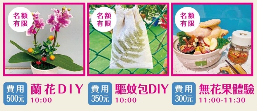 2023桃園花彩節交通資訊/月眉休閒農業區/遛小孩必去/網美打卡景點 - 第16張圖 2023桃園花彩節交通資訊/月眉休閒農業區/遛小孩必去/網美打卡景點