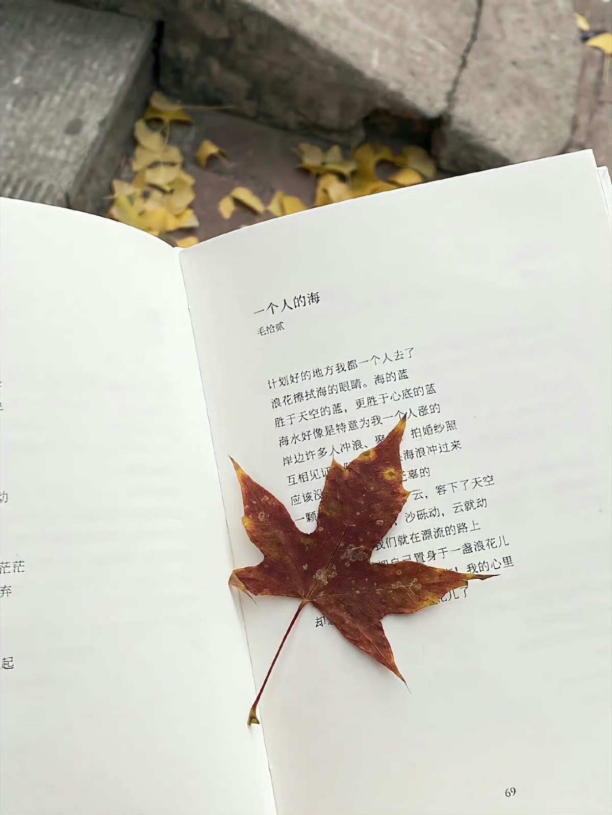 氣場的力量(深度好文) - 第6張圖 氣場的力量(深度好文)