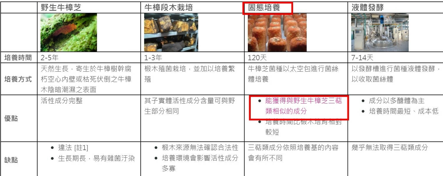 UBUA牛樟芝膠囊/台灣獨有的牛樟芝/森林中的紅寶石