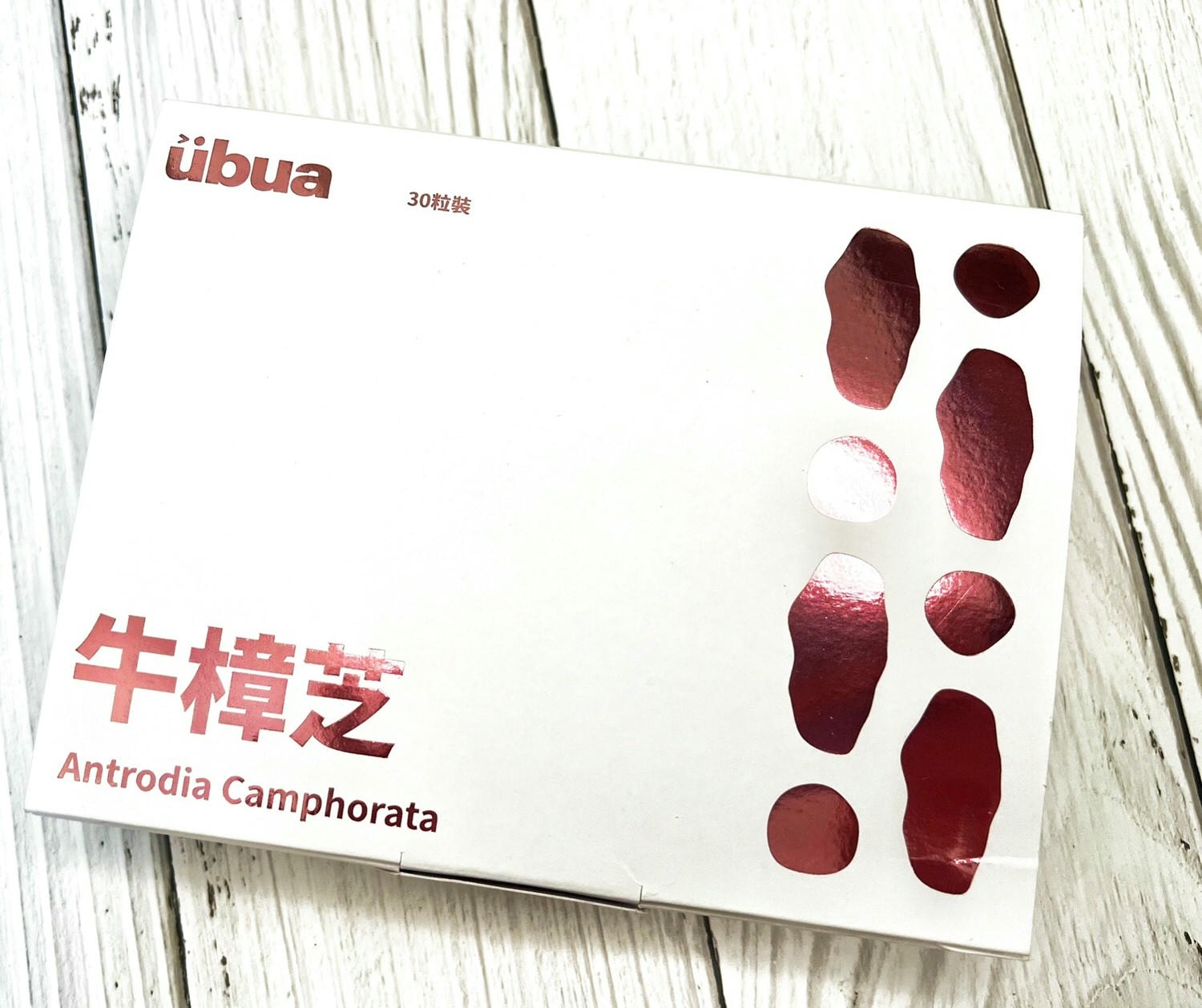 UBUA牛樟芝膠囊/台灣獨有的牛樟芝/森林中的紅寶石