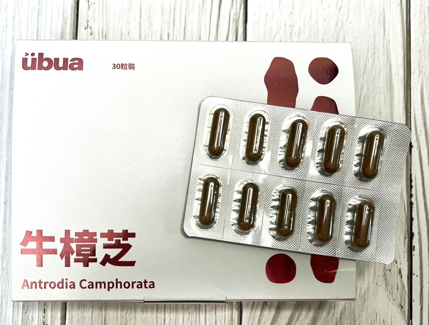 UBUA牛樟芝膠囊/台灣獨有的牛樟芝/森林中的紅寶石
