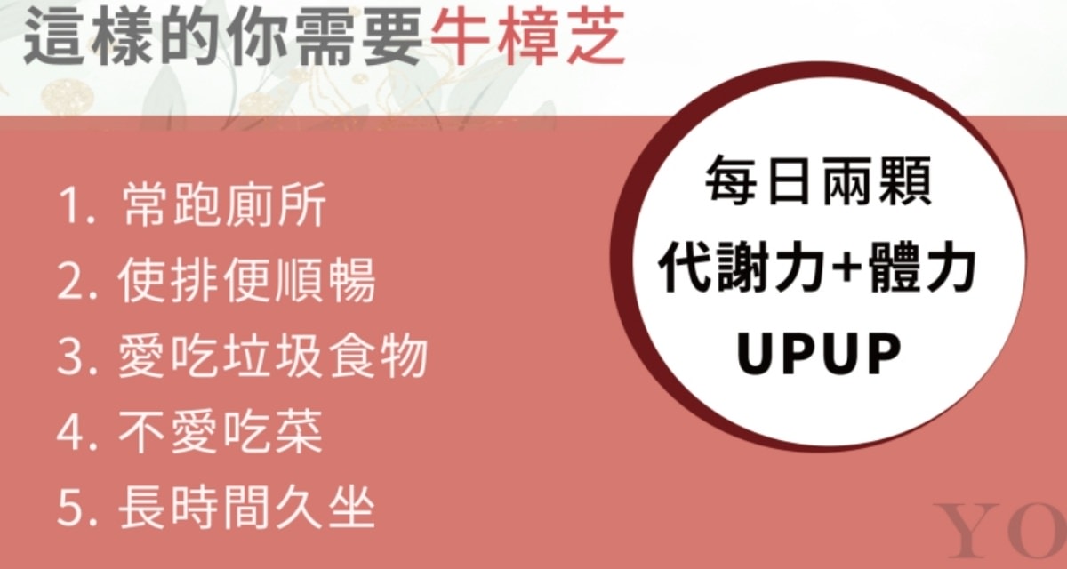 UBUA牛樟芝膠囊/台灣獨有的牛樟芝/森林中的紅寶石