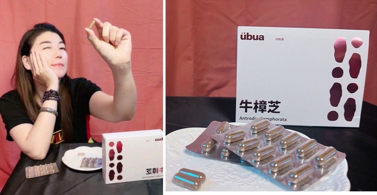 UBUA牛樟芝膠囊/台灣獨有的牛樟芝/森林中的紅寶石
