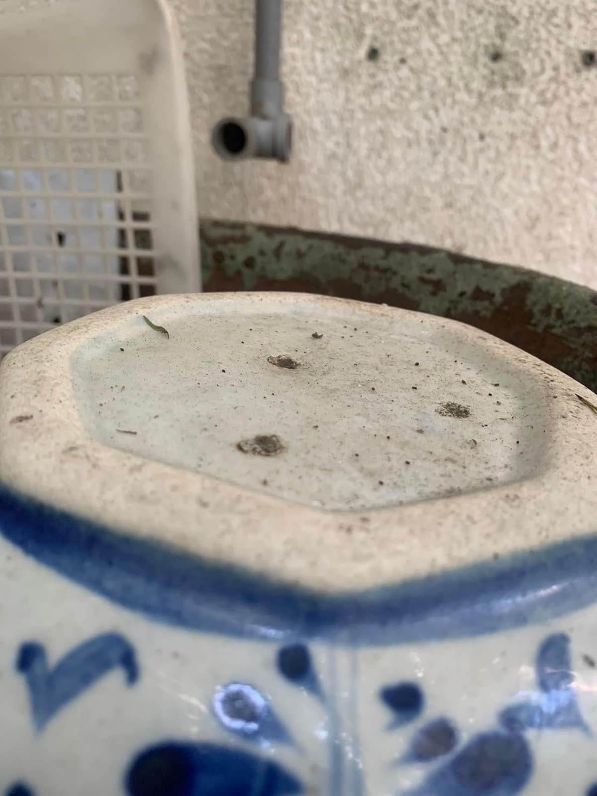 登革熱室內噴藥(三)/爆料社關團刪文/公務人員私闖民宅 - 第2張圖 登革熱室內噴藥(三)/爆料社關團刪文/公務人員私闖民宅