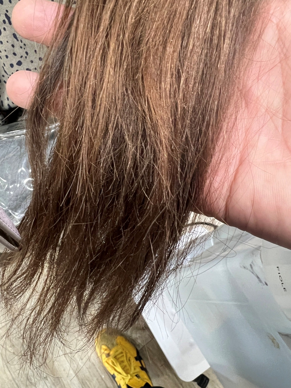 黑耀光感護髮/髮質好帶給你好人氣/護髮的重要性 - 第17張圖 黑耀光感護髮/髮質好帶給你好人氣/護髮的重要性