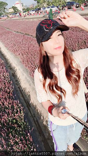楊梅花海_181206_0007.jpg 楊梅花海_181206_0007.jpg