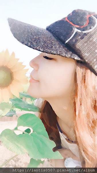 楊梅花海_181206_0051.jpg 楊梅花海_181206_0051.jpg