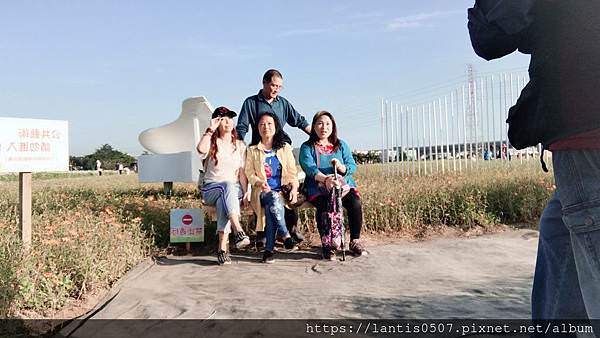 楊梅花海_181206_0028.jpg 楊梅花海_181206_0028.jpg