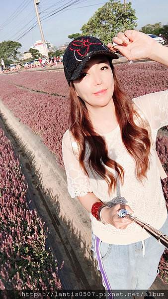 楊梅花海_181206_0006.jpg 楊梅花海_181206_0006.jpg