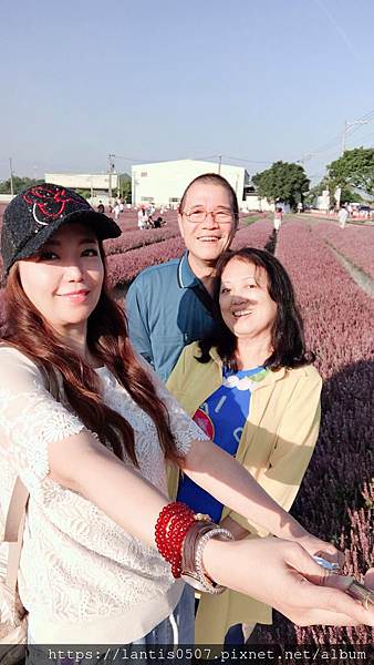 楊梅花海_181206_0005.jpg 楊梅花海_181206_0005.jpg