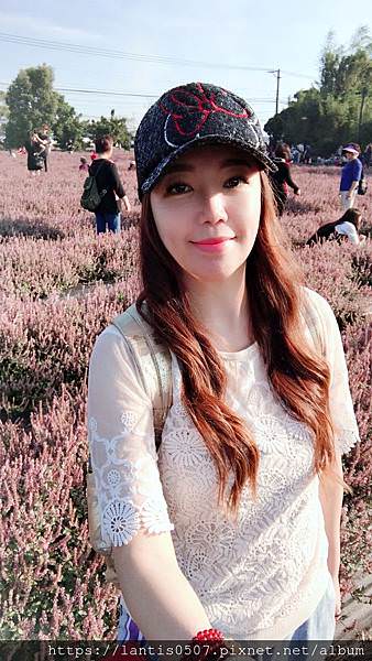 楊梅花海_181206_0002.jpg 楊梅花海_181206_0002.jpg